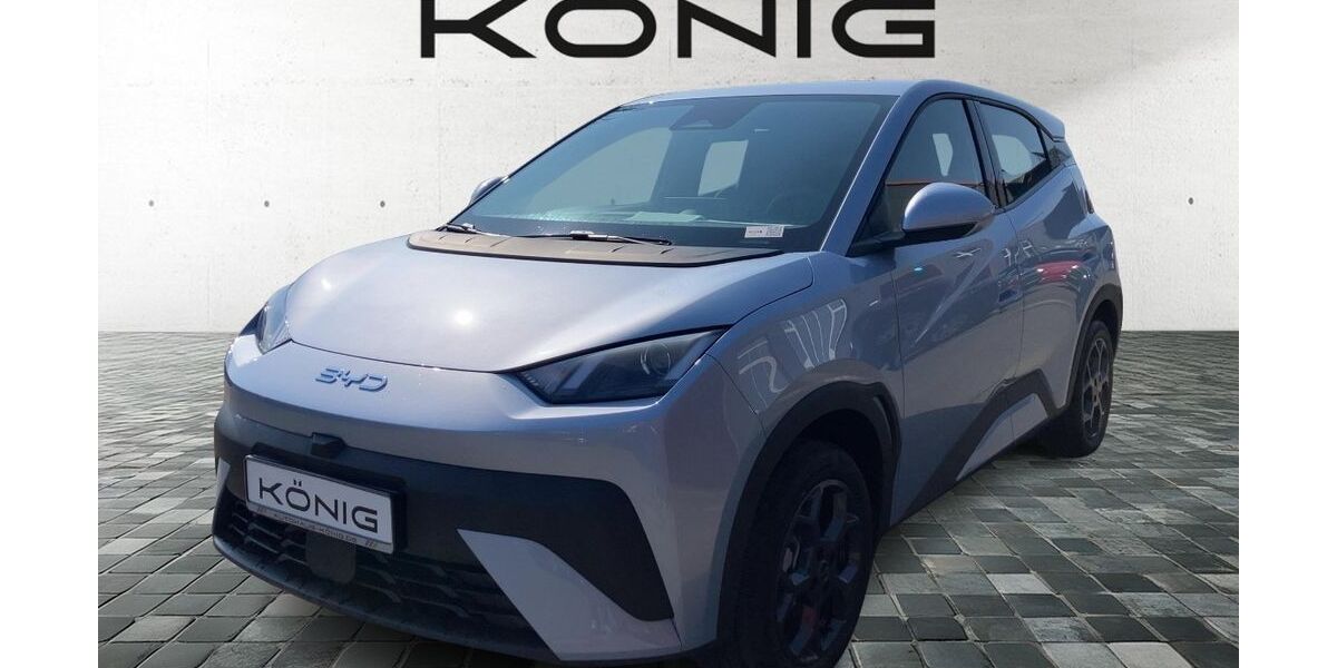 BYD DOLPHIN 2.899 km 20.989 &euro; Gera 07552