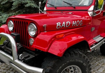 Jeep Wrangler 56.000 km 29.900 &euro; Zeitz 06712